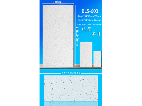 BLS-603 镜花水月